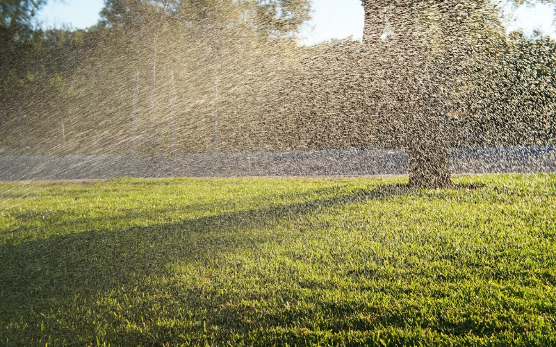 How Often Should You Water New Turf