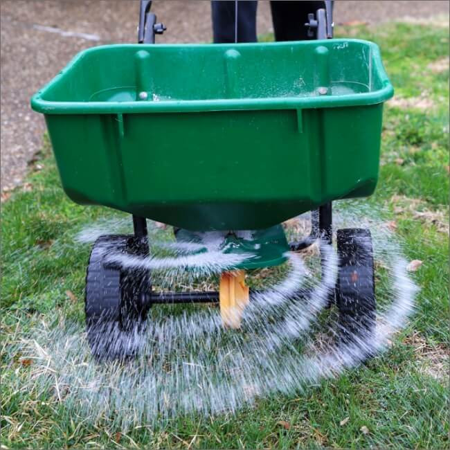 Buy Grass Seed in Elm Suppliers of Quality Grass Seed for Elm Davies Turf Shady Grass