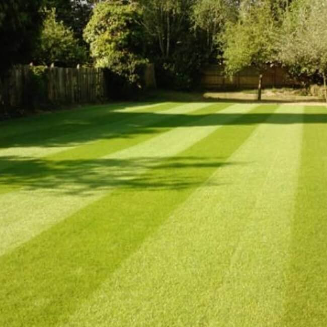 Buy Premium Turf in Haddenham Suppliers of Quality Premium Turf for