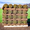 Trident Turf - Image 10