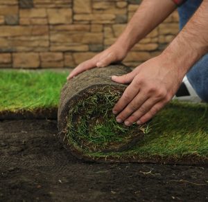 Turf & topsoil