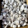 Polar White Gravel - Image 2