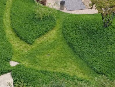 Aerial view of lawn with heart-shaped clover turf section and curved pathways through green garden.